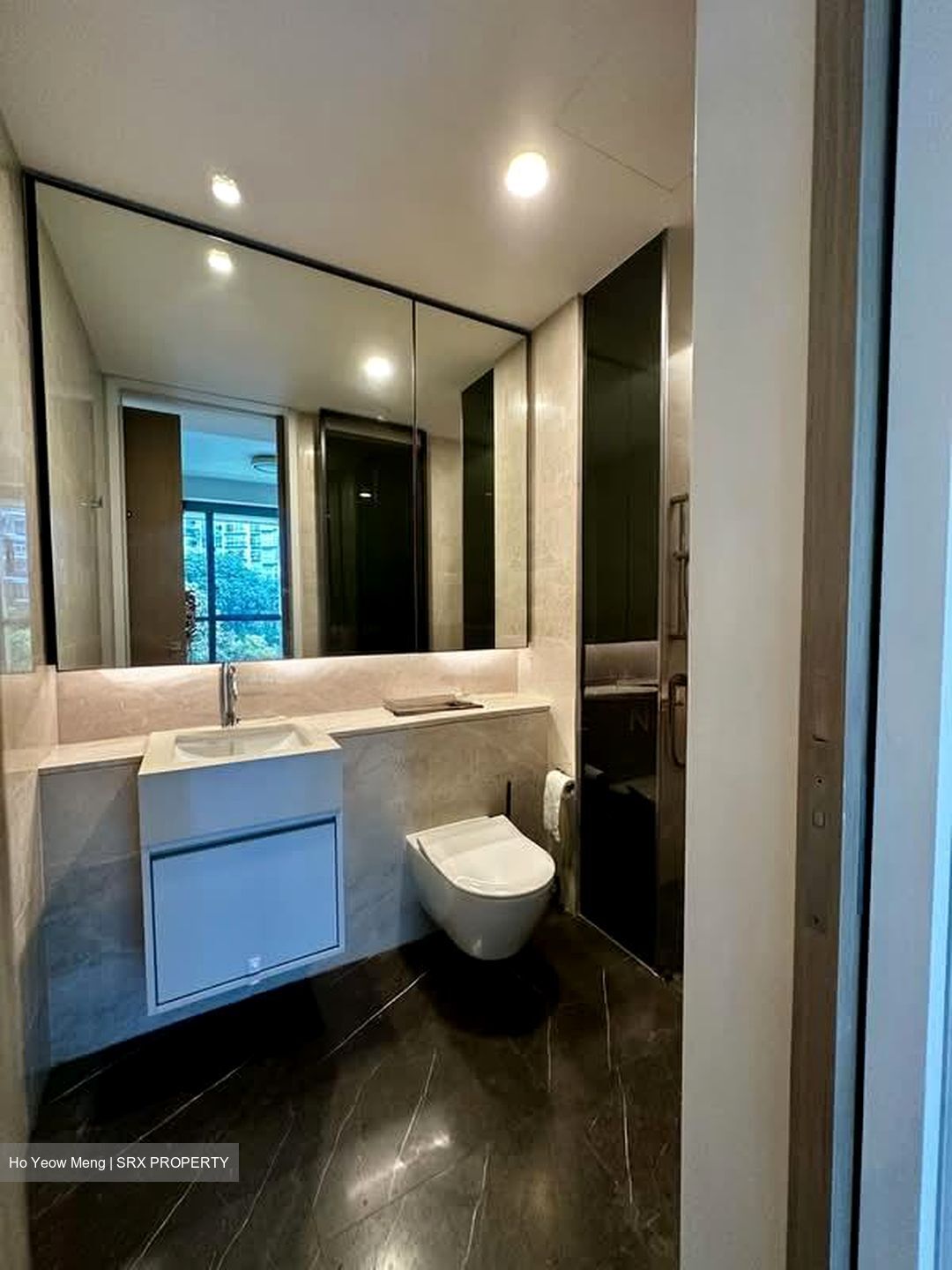Amber Park (D15), Condominium #563965671